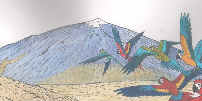 Teide Teide